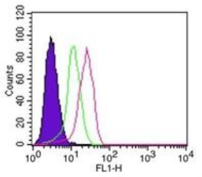 IkB alpha Antibody in Flow Cytometry (Flow)