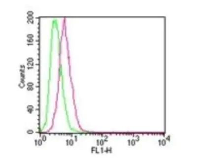 IKK beta Antibody in Flow Cytometry (Flow)