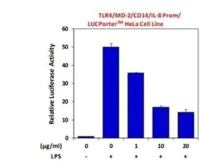 TLR4 Antibody in Neutralization (Neu)