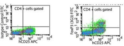 FOXP3 Antibody in Flow Cytometry (Flow)