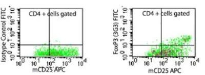 FOXP3 Antibody in Flow Cytometry (Flow)