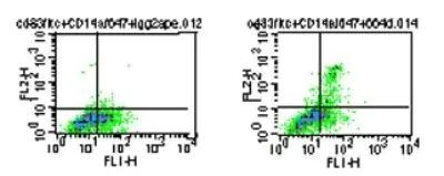 TLR5 Antibody in Flow Cytometry (Flow)