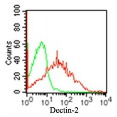 Dectin 2 Antibody in Flow Cytometry (Flow)