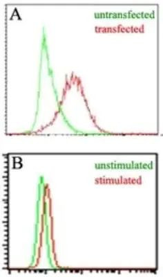 EBI3 Antibody in Flow Cytometry (Flow)