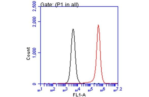 PEX19 Antibody in Flow Cytometry (Flow)