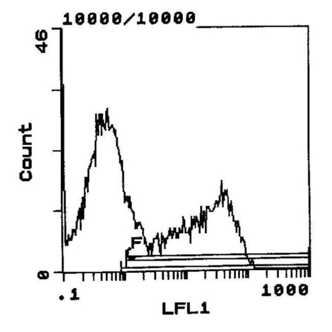 RT1.Bu Antibody in Flow Cytometry (Flow)