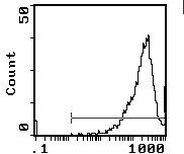 CD90 Antibody in Flow Cytometry (Flow)