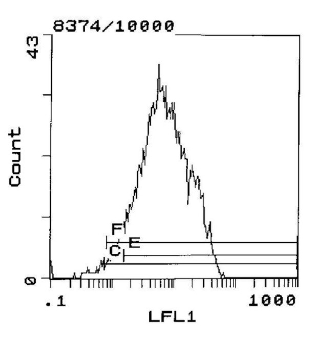 I-Ab/I-Ad Antibody in Flow Cytometry (Flow)