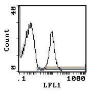 TER-119 Antibody in Flow Cytometry (Flow)