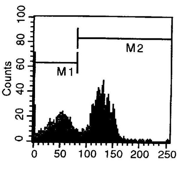 CD40 Antibody in Flow Cytometry (Flow)