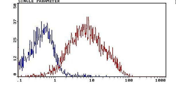 CD44 Antibody in Flow Cytometry (Flow)