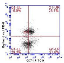 Transferrin Receptor Antibody in Flow Cytometry (Flow)