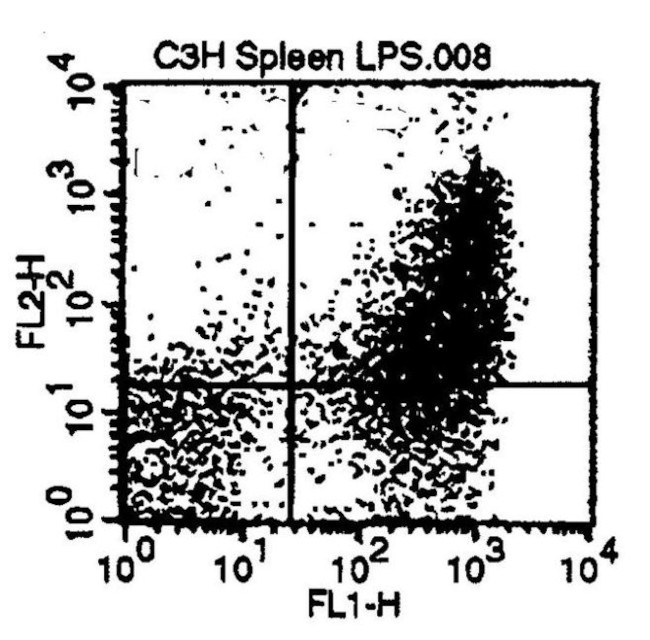 CD80 Antibody in Flow Cytometry (Flow)