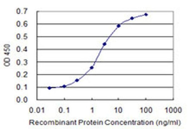 NFIC Antibody in ELISA (ELISA)