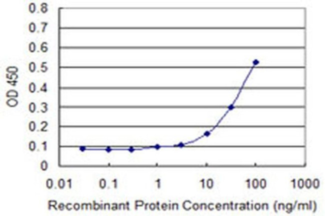 PHKG2 Antibody in ELISA (ELISA)