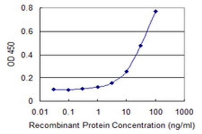 PKMYT1 Antibody in ELISA (ELISA)