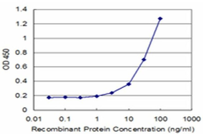 CHST4 Antibody in ELISA (ELISA)