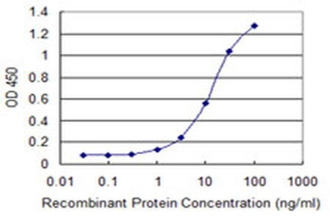 TSHZ1 Antibody in ELISA (ELISA)