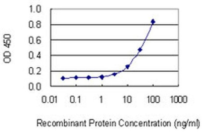 LPIN1 Antibody in ELISA (ELISA)