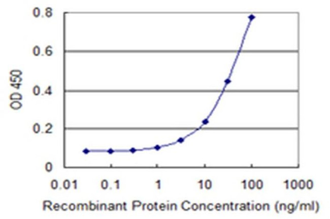 PI4K2A Antibody in ELISA (ELISA)