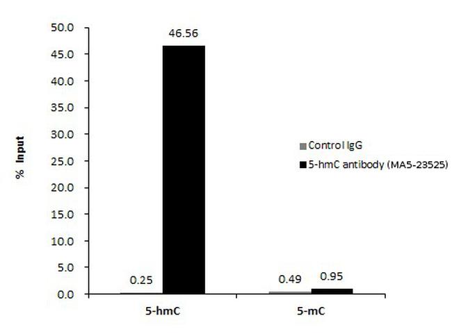 5-hydroxymethylcytosine Antibody in Methylated DNA Immunoprecipitation (MeDIP)