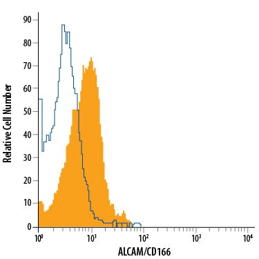 CD166 Antibody in Flow Cytometry (Flow)