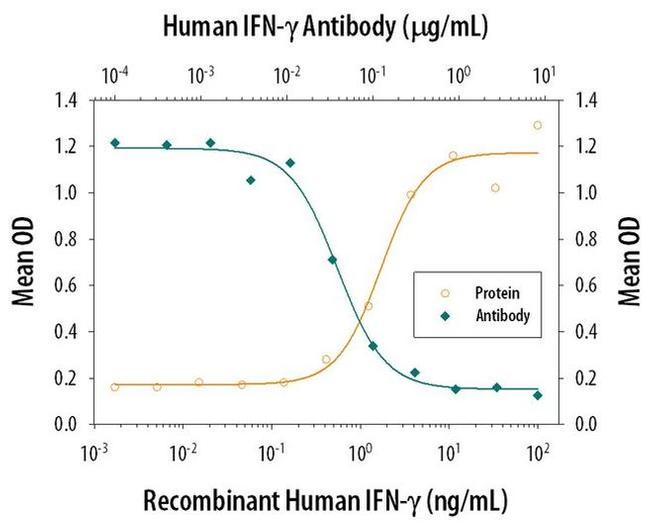 IFN gamma Antibody