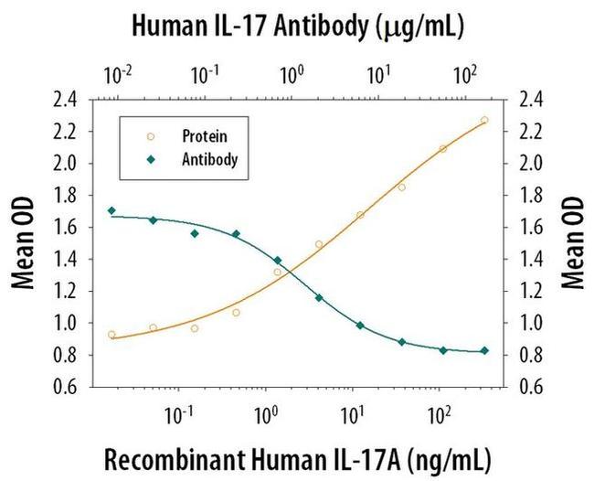 IL-17A Antibody