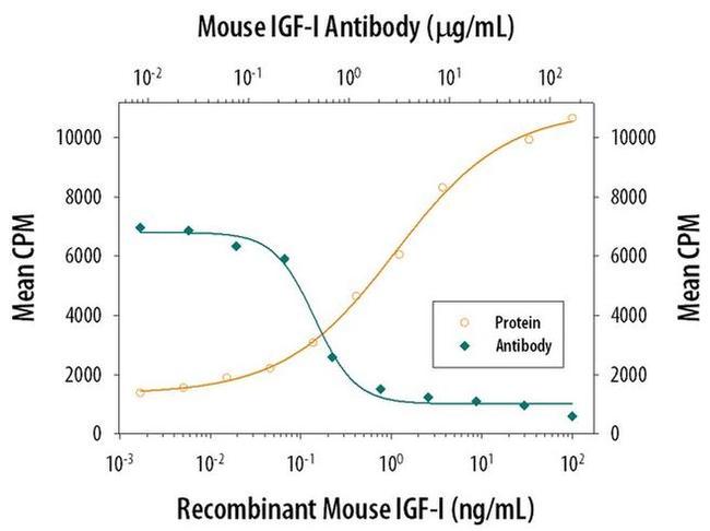 IGF1 Antibody