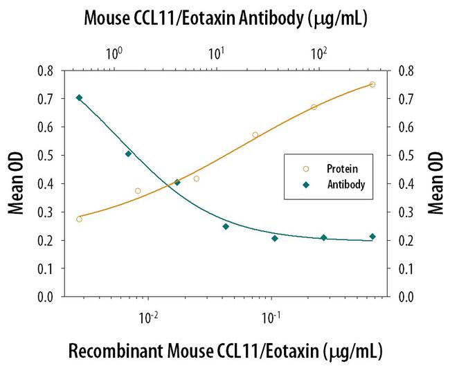 Eotaxin Antibody in Neutralization (Neu)