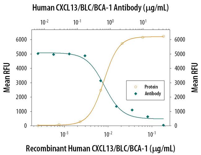 CXCL13 Monoclonal Antibody (53610) (MA5-23832)