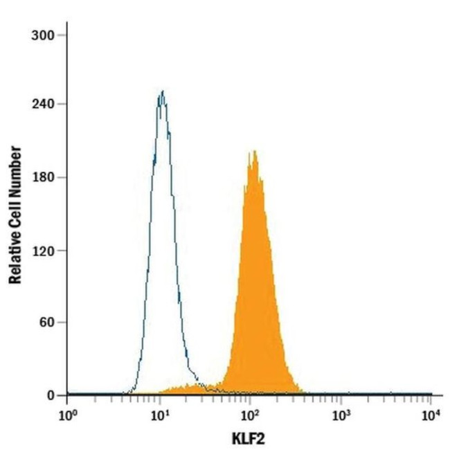 KLF2 Antibody in Flow Cytometry (Flow)
