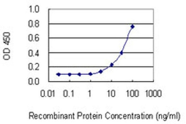 THG1L Antibody in ELISA (ELISA)