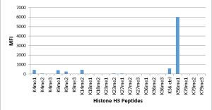 H3K56me1 Antibody in Luminex (LUM)