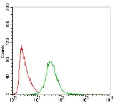 PON1 Antibody in Flow Cytometry (Flow)