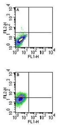 QA-1b Antibody in Flow Cytometry (Flow)