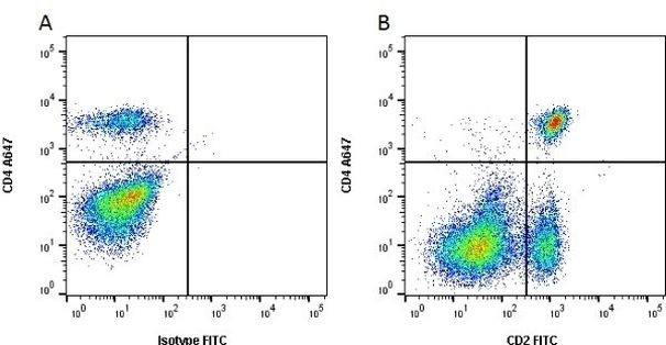 CD2 Antibody in Flow Cytometry (Flow)