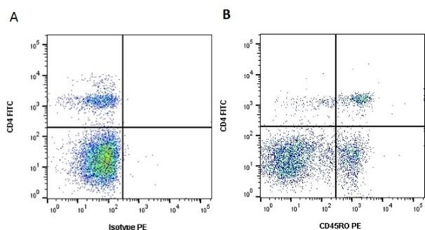 CD45RO Antibody in Flow Cytometry (Flow)