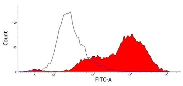 CD52 Antibody in Flow Cytometry (Flow)