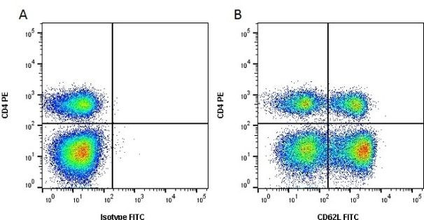 CD62L (L-Selectin) Antibody in Flow Cytometry (Flow)