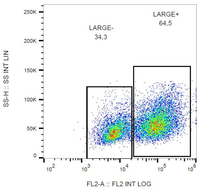 LARGE Antibody in Flow Cytometry (Flow)