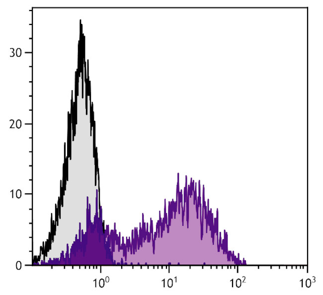 CD146 Antibody in Flow Cytometry (Flow)