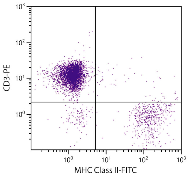 MHC Class II Antibody in Flow Cytometry (Flow)