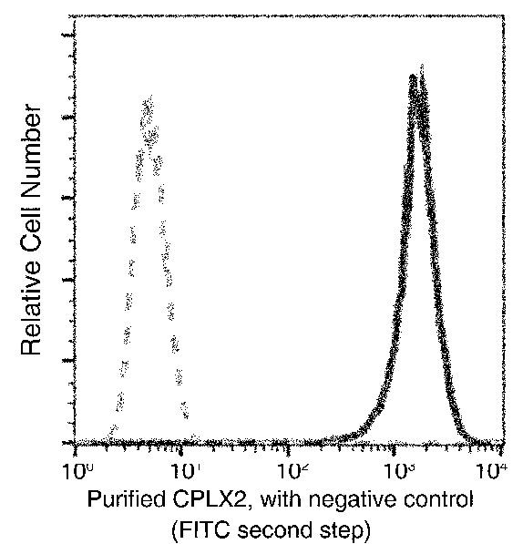 CPLX2 Antibody in Flow Cytometry (Flow)