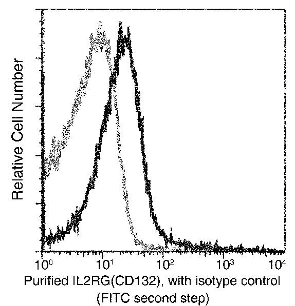 IL2RG Antibody in Flow Cytometry (Flow)