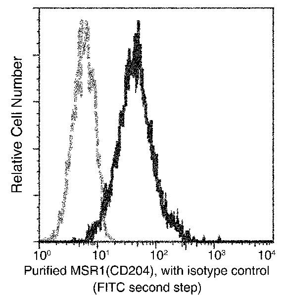 CD204 Antibody in Flow Cytometry (Flow)