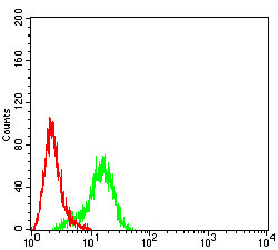 Arp3 Antibody in Flow Cytometry (Flow)