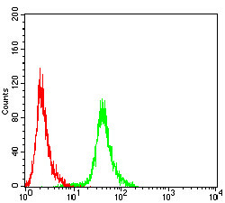 PREFILTRO RICAMBIO PER ASPIRACENERE CENEREPROF - Cuneo - MASSUCCO ROBERTO &  C.