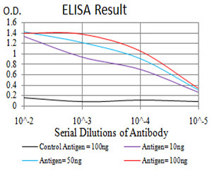 ATG13 Antibody in ELISA (ELISA)