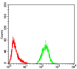 ATG13 Antibody in Flow Cytometry (Flow)